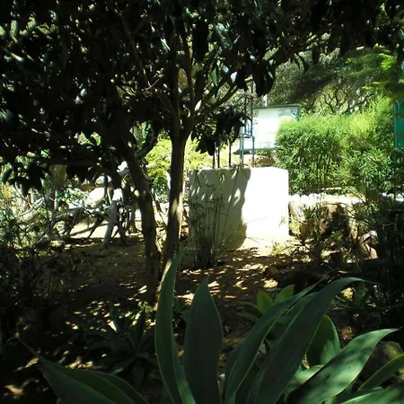 דירה Studio 5 *